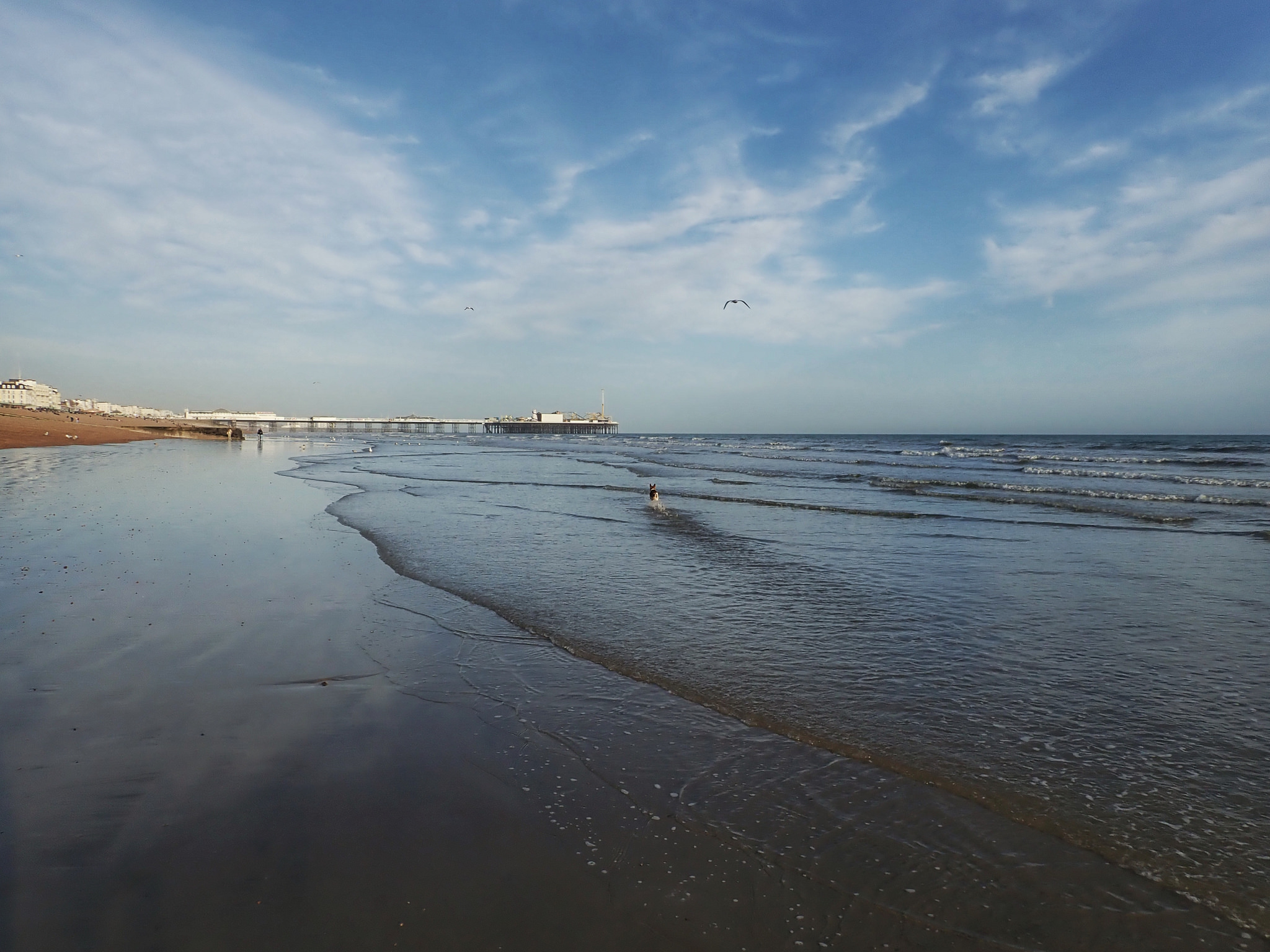 Brighton Pier