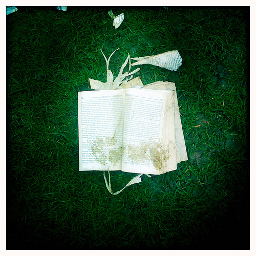 Torn book on grass