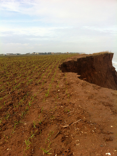 Withernsea, East Yorkshire - recent land loss