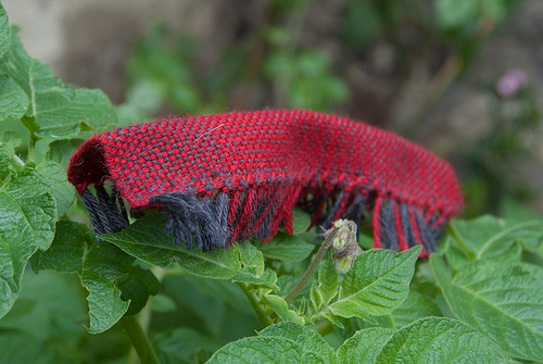 A woven caterpillar