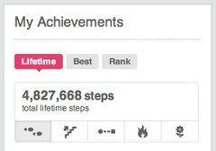 lifetime steps